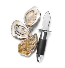Fresh raw oysters and knife on white background, top view