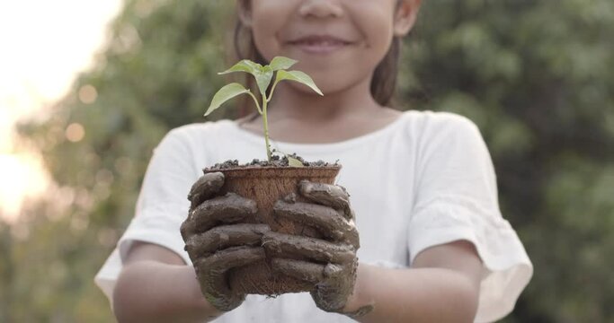 Asian child girl with mud dirty hands holding young seedlings in recycled fiber pots in the garden.Concept of child love in environmental conservation.Slow motion shot.