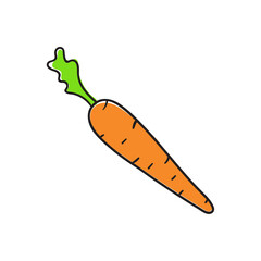 Vector carrot icon