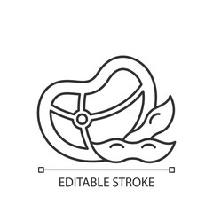 Soy meat linear icon. Natural vegetable protein. Vegeterian meat types. Tasty meal preparation. Thin line customizable illustration. Contour symbol. Vector isolated outline drawing. Editable stroke