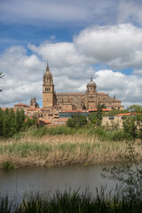 Majestic view at the gothic building at the Salamanca cathedral tower cupola dome and University of Salamanca tower cupola dome, surrounding vegetation and tormes river