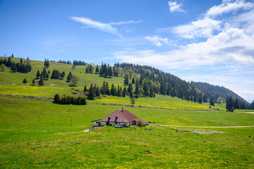 typical landscape in the swiss jura with a farm house , wildflowers and forest