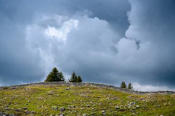 a typical Dry stone wall near Mont Tendre in the Jura Vaudoise