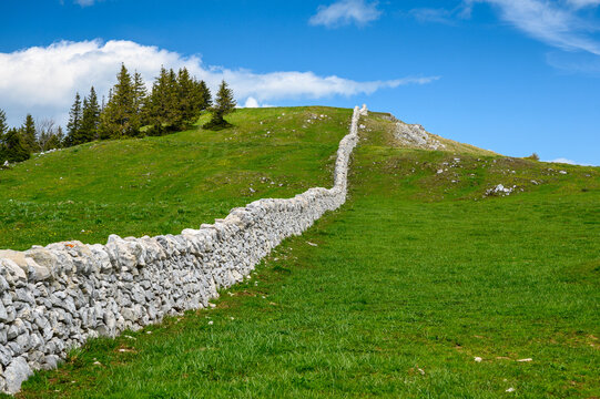 a typical Dry stone wall near Mont Tendre in the Jura Vaudoise