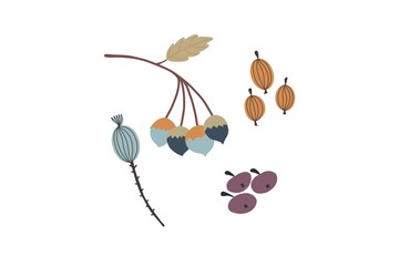 Set of Autumn leaves. Berries , nuts and branches in Autumnal colours.