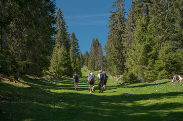 hiking group on the Jura Crest Trail in Jura Vaudoise
