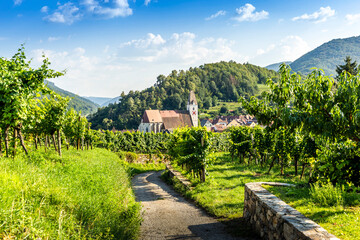 Church in Spitz town. Wachau valley. Austria.