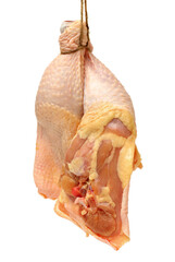 Chicken legs on white background