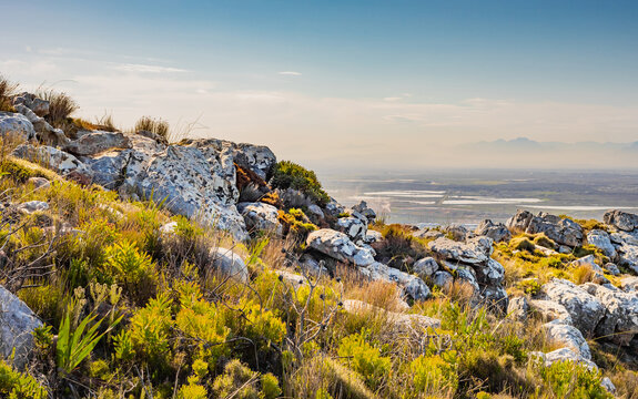 Rugged mountain landscape with fynbos flora in Cape Town