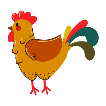 rooster farm bird , colorful funny character. Flat. Vector illustration