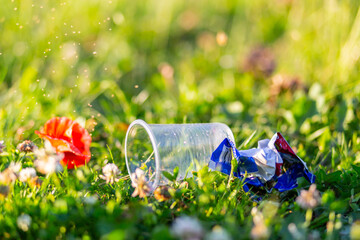 Dead flower next to a plastic glass and rubbish on a background of grass. Ecological problem.