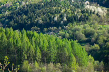 Obraz premium Spring rural landscape in Maramures (Transylvania, Romania) 