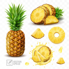 3d realistic isolated vector set of pineapple with juice splash, whole pineapple with leaves and splash with drops, falling pineapple slices in pineapple juice and pineapple slices with a half - obrazy, fototapety, plakaty
