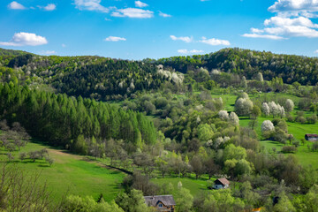 Spring rural landscape in Maramures (Transylvania, Romania)	
