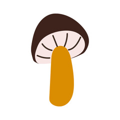 Brown cap boletus flat illustration. Mushroom icon. Vector. Vector illustration