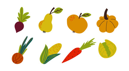 Autumn harvest. Local Fruit and vegetable vector clipart . Hand drawn flat healthy eating illustrations. Vector illustration