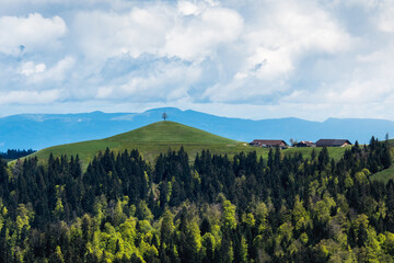 Obraz premium solitary tree on a hill in Emmental on a cloudy spring day