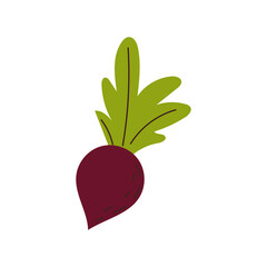 Beetroot vector icon in flat, Beetroot icon can be used as a sign, design element, logo. Local farmers vegetables. 