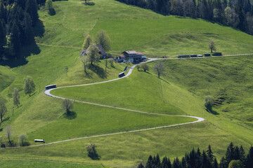 road leading to a Emmental house in spring