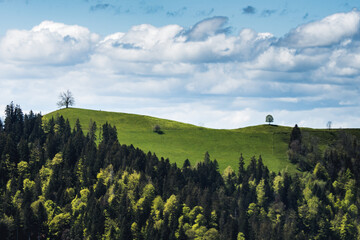hills of Emmental with trees on a cloudy spring day