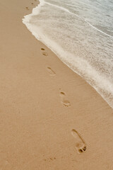 Small waves on sandy beach on Atlantic ocean