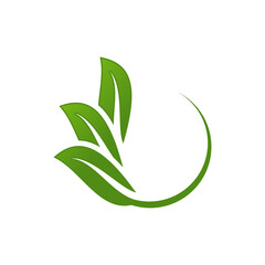 leaf logo template vector icon