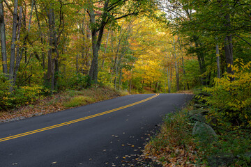 Road in autumn 
