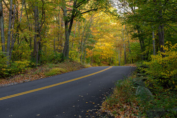 Road in autumn 
