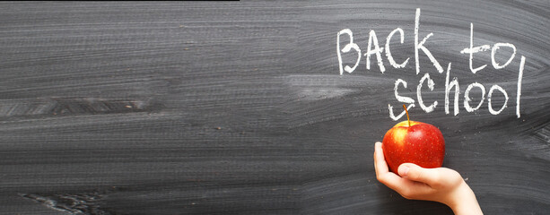 child's hand holding an apple near chalkboard. Back to school concept background. banner