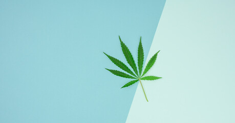 green cannabis leaf on blue background, concept of legalization as alternative treatment and pain relief