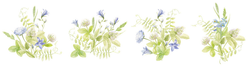 A set of bouquets of wildflowers. Hand-painted watercolor flowers and leaves of clover, bluebells, wild herbs. Suitable for the design of cards, invitations, scrapbooking.