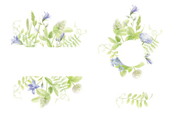 Wildflowers. Watercolor frames of wild herbs, leaves and flowers of clover, bell flowers.