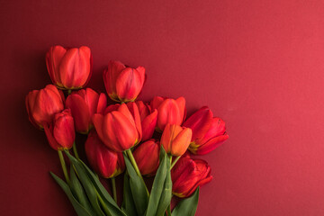 Creative layout made with tulip flowers on bright red  background. Flat lay. Spring minimal concept.