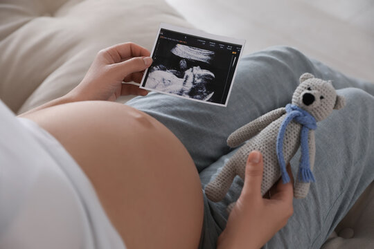 Young pregnant woman with ultrasound picture of baby and toy bear indoors, closeup
