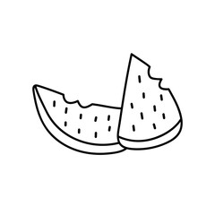Hand-drawn sketch watermelon in doodle style. Vector illustration. 
