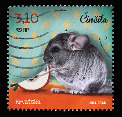 A stamp printed in Croatia shows Lesser Chinchilla (Chinchilla lanigera), Series: Children's World - Pets, circa 2014