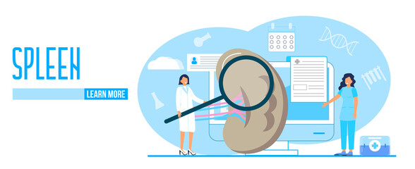 Spleen concept vector. Digestive problems illustration. Healthcare template