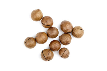 Roasted macadamia nuts in shell isolated on white background. Unshelled macadamia nuts, view from above