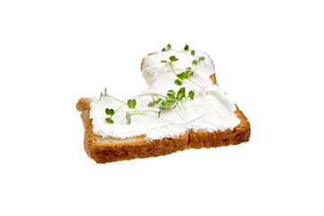Toast bread slice with microgreens arugula shoots isolated on white background. Bitten toast bread with cream cheese and micro greens