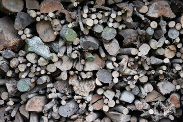 pile of logs
