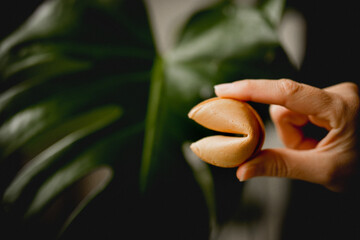 Crop hand with fortune cookie