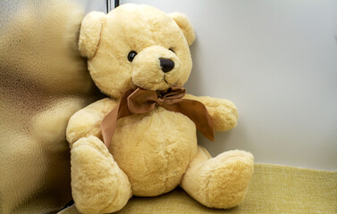 teddy bear