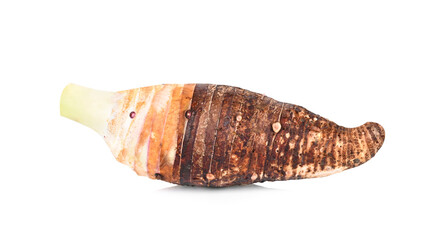 Taro isolated on white background