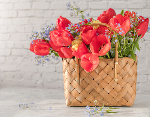 Summer or spring bouquet of daffodils and red tulips in a wicker basket located on a white background. Blossom of spring flowers.