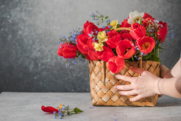 Summer or spring bouquet of daffodils and red tulips  in a wicker basket located on a white...
