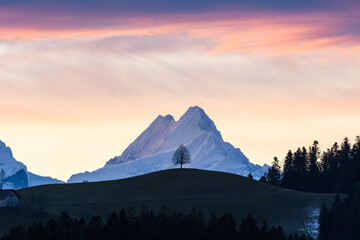 colorful morning sunrise in Emmental with a single tree on a hill in Emmental in front of Schreckhorn