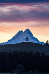 a new day in Emmental with a single tree on a hill in Emmental in front of Schreckhorn