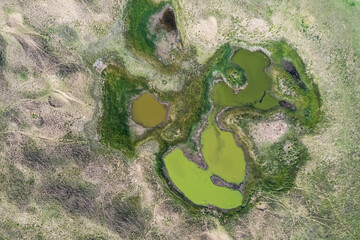 Fresh water spring, in Pampas landscape, Argentina