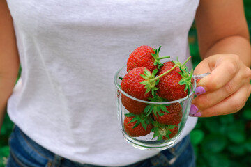 Vitamins from the garden. A young sports woman in shorts and a T-shirt in a summer garden holds a glass cup with red ripe strawberries in her hands. Healthy eco breakfast.