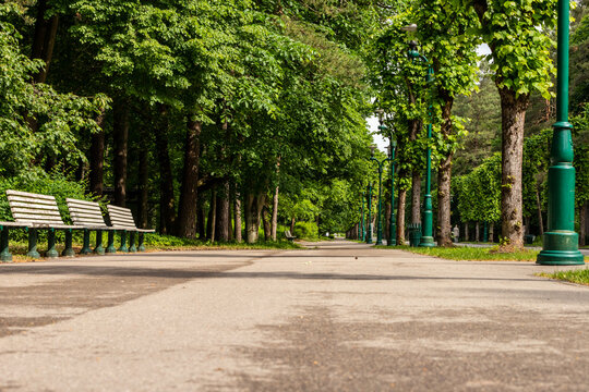 Path in the Forest Park, Riga (Mežaparks) at summer. Low angle photo of alley in the park lined with high green trees, green lampposts, benches and lawn.
